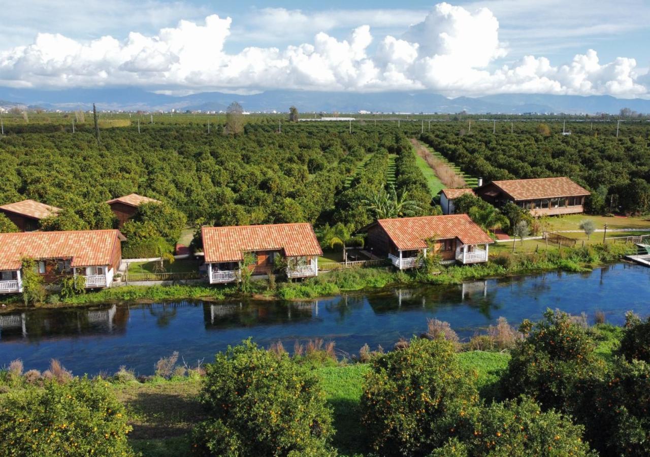 Turkuazkoey Vendégház Finike Kültér fotó